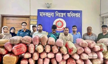 স্ট্রিকার লাগানো স্বরাষ্ট্র মন্ত্রণালয়ের সেই গাড়ি থেকে মিললো ২৪০ কেজী গাঁজা।