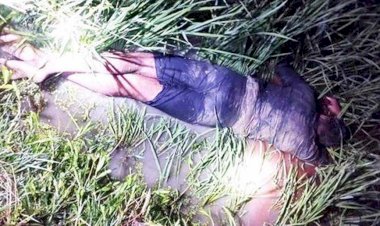 পোরশায় নিতপুর সীমান্তে বিএসএফ এর গুলিতে বাংলাদেশি যুবক নিহত