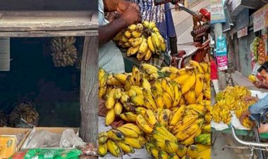 বুড়িচংয়ে কলা পাকাতে মেশানো হচ্ছে বিষাক্ত কেমিক্যাল