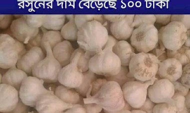 রসুনের বাজার নিয়ে হতাশ সাধারণ ব্যাবসায়ীরা!