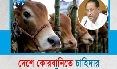 কোরবানির গরুর হাট কাঁপাবে ‘দিনাজপুরের রাজা