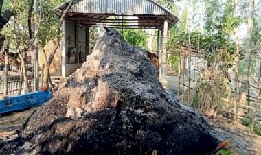 গোবিন্দগঞ্জে পারিবারিক শত্রুতার জের ধরে বসত বাড়ী ভাংচুর, গৃহবধুকে মারপিট, শ্লীলতাহানি ও স্বর্নের চেইন ছিনতাই এর অভিযোগ