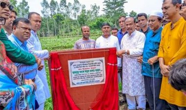 গোবিন্দগঞ্জের গুমানীগনঞ্জে দুর্যোগ ব্যবস্থাপনা অধিদপ্তরে অর্থায়নে ৩টি ব্রিজ নির্মাণ কাজের উদ্বোধন