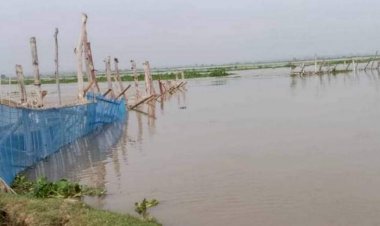 নওগাঁর পুনর্ভবা নদিতে ২৭ স্থানে বাঁশের ব্যারিকেট দিয়ে অবৈধ সুতি জালে পোনাসহ বিভিন্ন প্রজাতির মাছ নিধন