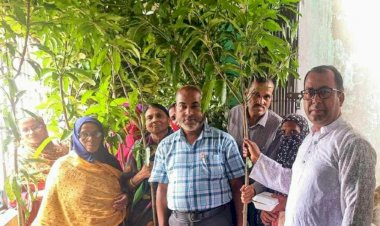 কেশবপুরে গ্রামীণ ব্যাংকের আয়োজনে ২০ হাজার  ফলদ ও বনজ গাছের চারা বিতরণ উদ্বোধন