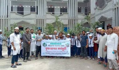 সেবা'র হাত ফাউন্ডেশনে এর পক্ষ থেকে রাণীর বন্দরে শতাধিক বৃক্ষ বিতরণ করা হয়।