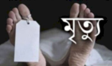 নওগাঁয় পথচারীকে সাইড দিতে গিয়ে অটো ভ্যানগাড়ি উল্টে চালকের মৃত্যু