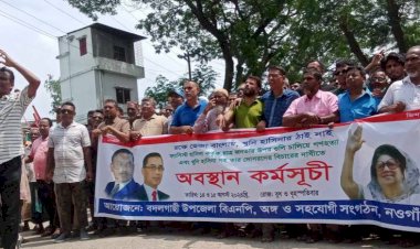 বদলগাছী উপজেলা বিএনপির আয়োজনে শান্তি সমাবেশ ও র‍্যালী
