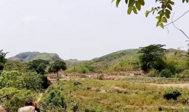 টেকনাফে ডাকাত আতঙ্কে ৪শত একর জমিতে শীতকালীন সবজি সহ মৌসুমি  চাষাবাদ বন্ধ