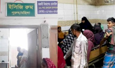 নওগাঁ সদর ২৫০ বিশিষ্ট হাসপাতাল একবর ইসিজি করতে সরকারি নির্ধারিত নিধ ৮০ টাকা ফি দিতে হয়