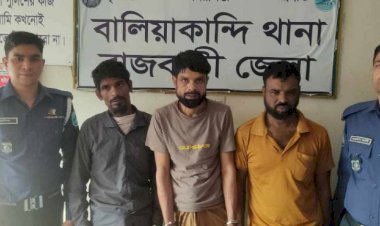বালিয়াকান্দিতে চোরাই  গরুসহ ৩ চোর গ্রেপ্তার
