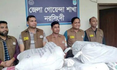 নরসিংদীর শিবপুরে লটকন বাগানে পরিত্যক্ত অবস্থায় পরে থাকা ৯৬ কেজি গাঁজা উদ্ধার