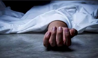 মির্জাগঞ্জে গাছ চাপা পরে এক শ্রমিক নিহত