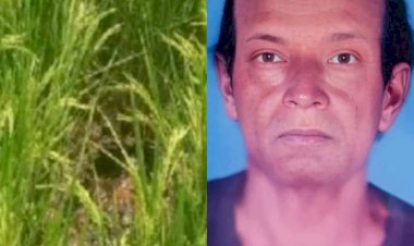 নওগাঁয় নিখোঁজের ২ দিন পর ধানক্ষেতে  আব্দুল জব্বারের গলাকাটা অর্ধগলিত মৃতদেহ উদ্ধার