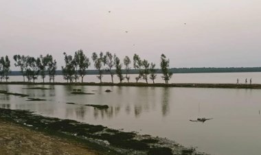 মিয়ানমার অভ্যন্তরে  নাফনদীর তোতার দ্বীপে মাইন বিস্ফোরণে এক বাংলাদেশি জেলের ডান পা বিচ্ছিন্ন