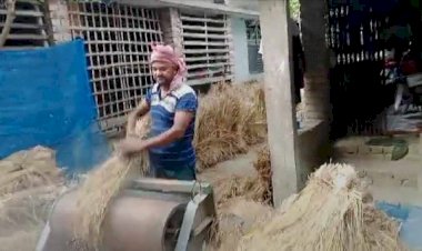 কেশবপুরের সাংবাদিক এম,এ রহমান বললেন,  নিজে ধান কাটা ছোট কাজ নয়