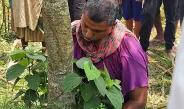 ঠাকুরগাঁওয়ে ভুট্টা ক্ষেত থেকে ইউপি সদস্যের লাশ উদ্ধার