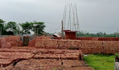 আবারও গড়া হচ্ছে সেই ইটভাটা