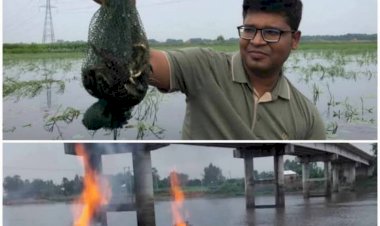 পাবনায় বিলের বুকে অভিযানে  ইউএনও মুসা নাসের চৌধুরী