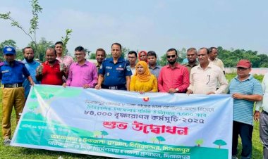 চিরিরবন্দরে একযোগে ৮৪ হাজার বৃক্ষরোপণ