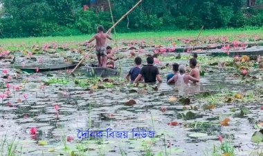 গাজীপুরের কাপাসিয়ায় বিলে দুর্ঘটনায় দুই যুবকের মৃত্যু