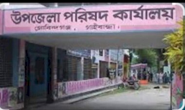 ম্যানেজ করে বহাল তবিয়তে  পলাতক থাকা আওয়ামী লীগের ১২ ইউপি চেয়ারম্যান