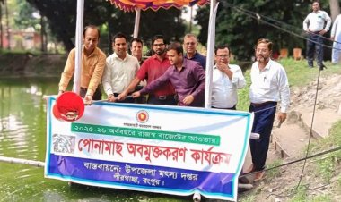 প্রতি বছরের ন্যায় আজ পীরগাছায় জাতীয় মৎস্য সপ্তাহ উপলক্ষ্যে বিভিন্ন জলাশয়ে পোনামাছ অবমুক্ত