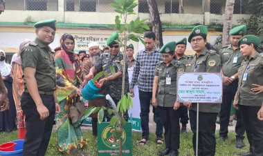 পরিবেশের ভারসাম্য রক্ষায় বরিশালে আনসার ভিডিপি’র বৃক্ষরোপণ কর্মসূচি উদ্বোধন