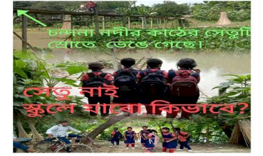 বালিয়াকান্দীতে চন্দনা নদীর কাঠ বাঁশের সেতু ভেঙে যাওয়ায়এলাকাবাসি ও শিক্ষার্থীদের চলাচলের ভোগান্তি