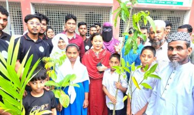 হোমনা যুব স্বেচ্ছাসেবী ফোরামের উদ্যোগে গাছের চারা বিতরণ