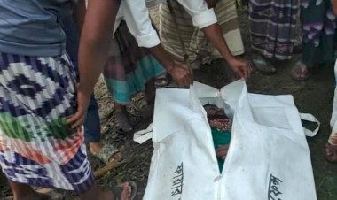 রাজশাহীর পবা থানাধীন আলিমগঞ্জ বাস-পিকআপ সংঘর্ষে নিহত ১ আহত ১০