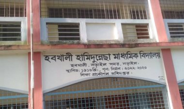 নড়াইলে হবখালী হামিদুনেচ্ছা মাধ্যমিক বিদ্যালয়ের প্রধান শিক্ষকের বিরুদ্ধে অনুপস্থিত শিক্ষিকাকে সাক্ষর করানোর অভিযোগ
