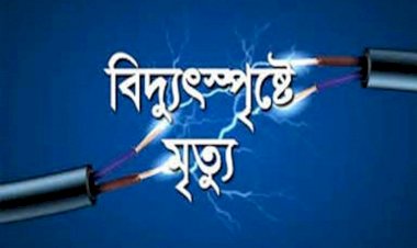 পীরগাছায় ছিঁড়ে পড়া বিদ্যুৎ লাইনে স্পর্শে গৃহবধূর মৃত্যু