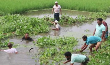 নওগাঁ জলাবদ্ধতা নিরসনে স্বেচ্ছাশ্রমে খাল পরিষ্কার অতঃপর সচল হলো পানি নিষ্কাশন