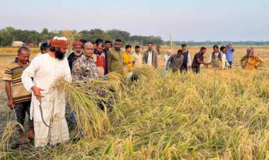 বালিয়াকান্দিতে কৃষকদের সঙ্গে মতবিনিময় করলেন ব্যারিস্টার কাজী রহমান মানিক