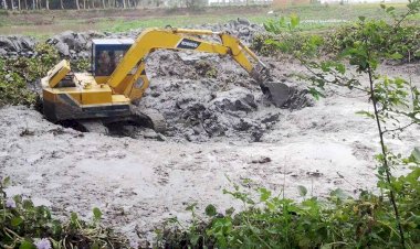 বাগমারায় সাজুড়িয়া বিলে অবৈধ পুকুর খনন
