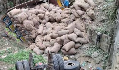 রাজবাড়ীতে আলুভর্তি ট্রাক উল্টে নিহত ১