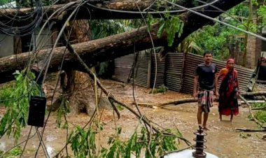 কেশবপুরে কালবৈশাখী ঝড়ে ব্যাপক ক্ষয়ক্ষতি, ঘরবাড়ি ল*ন্ডভ*ন্ড, বিদ্যুৎ বিপর্যয়