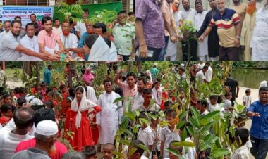 বন্ধু সেবা সংগঠনের উদ্যোগে বিভিন্ন শিক্ষা প্রতিষ্ঠানে খেলার সামগ্রী বিতরণ ও বৃক্ষরোপণ  কর্মসূচি