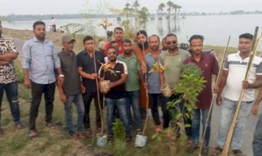 কেশবপুরে উজ্জ্বল স্মৃতি সংসদ-এর পক্ষ  থেকে বৃক্ষরোপণ