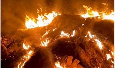 মির্জাগঞ্জে পায়রা নদীতে বিশেষ অভিযান: ২৫ হাজার মিটার ইলিশ ধরার জাল ও নৌকা জব্দ