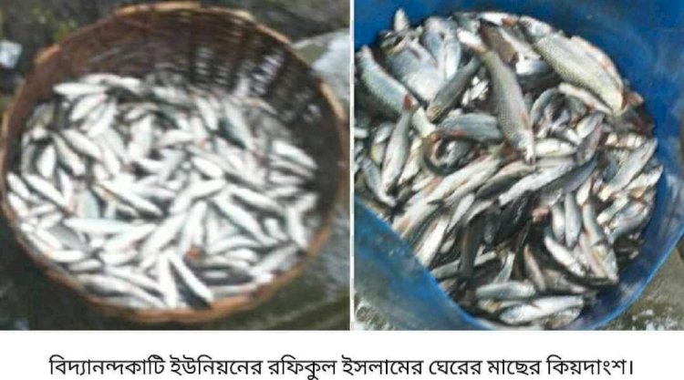 বিদ্যানন্দকাটি মাছের ঘেরে বিষ প্রয়োগ করে তিন  লক্ষ্যাধিক টাকার ক্ষতিসাধন