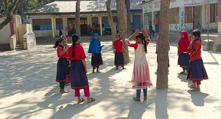 অ্যালার্জি রোগে ভুগতে পারে ৮০০ শিক্ষার্থী শিক্ষক