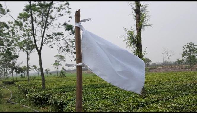 ভারতের কাছ থেকে ৯১ বিঘা জমি উদ্ধার, ঠাকুরগাঁও সীমান্তে আনন্দ উৎসব