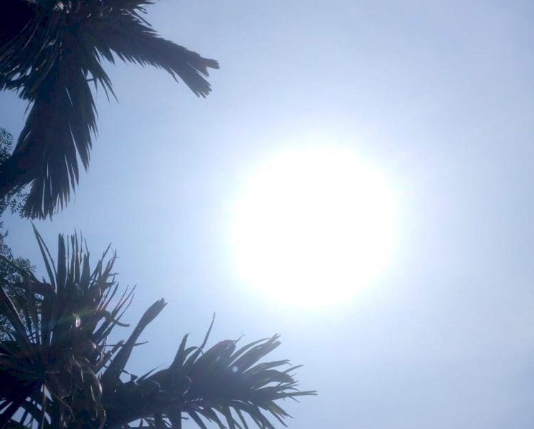ঠাকুরগাঁওয়ে তীব্রতাপ্রবাহে অতিষ্ঠ জনজীবন