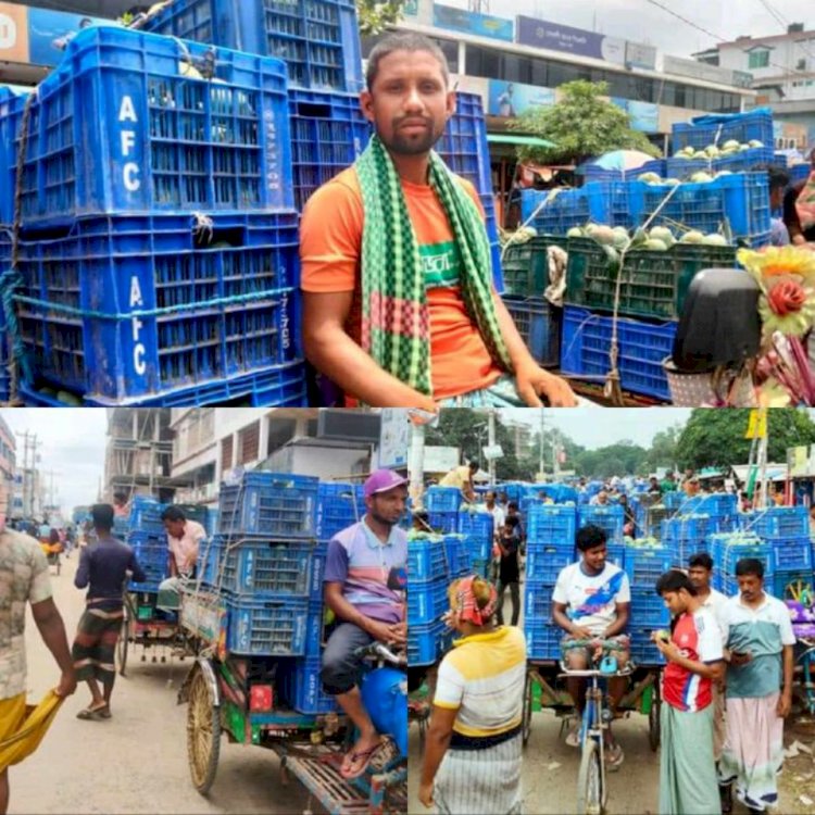 নওগাঁয় আম উৎপাদনের বিশেষ খ্যাতি অর্জন করেছে,কৃষকের পাশাপাশি ভাগ্য বদলেছে নানা পেশার মানুষ