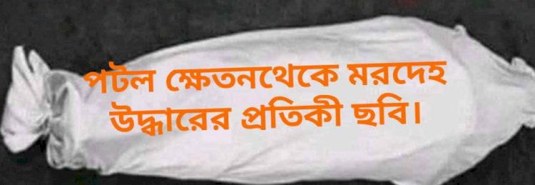 বদলগাছীর খলসি পটল ক্ষেত থেকে মরদেহ উদ্ধার