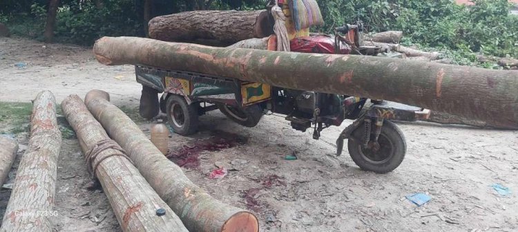 বালিয়াকান্দিতে গাছের গুড়ি চাপায়  নসিমন চালকের মৃত্যু