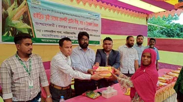 বগুড়ার চরাঞ্চলের কৃষকদের মধ্যে হাইব্রিড ভূট্টা ও সরিষার বীজ বিতরণ