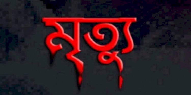 নড়াইলের কালিয়ায় পূজা উপলক্ষে মদ খেয়ে স্কুলছাত্রীর মৃত্যু